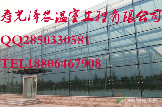 供应天津汉沽8000㎡玻璃智能温室生态园