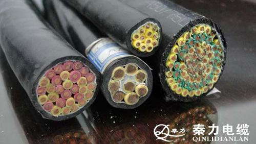 渭南BV铜塑线专业生产BV铜塑线厂西安国标BV铜塑线陕西电线电缆图片
