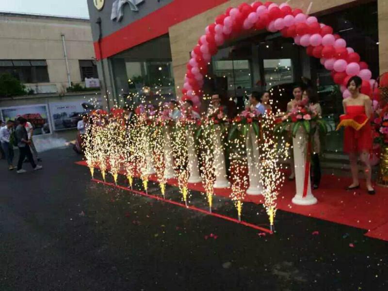 供应深圳创意求婚方案策划制作浪漫烟火特效烟花字幕图片