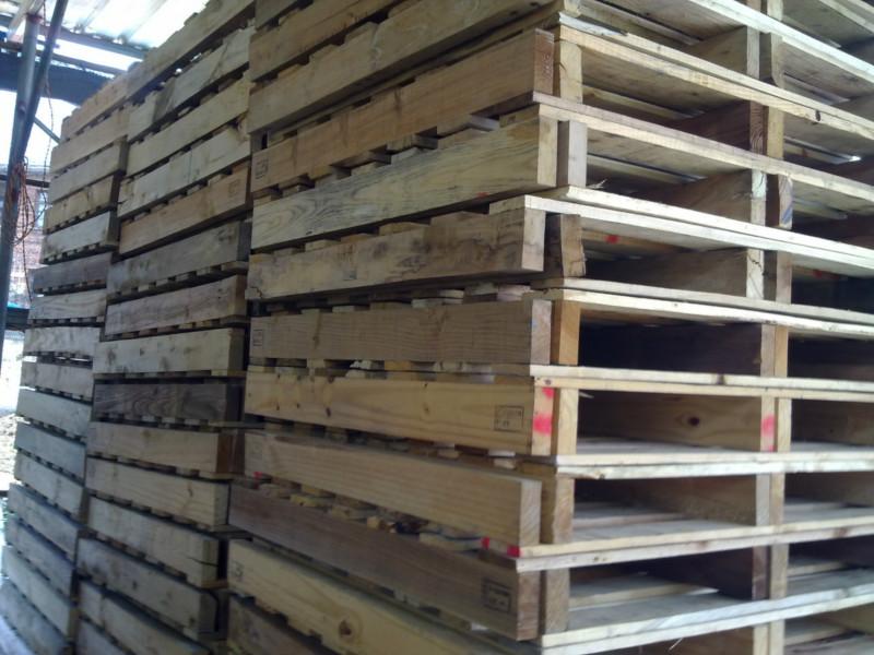 福州木托盘回收厂家高价收购木托盘 回收木托盘图片
