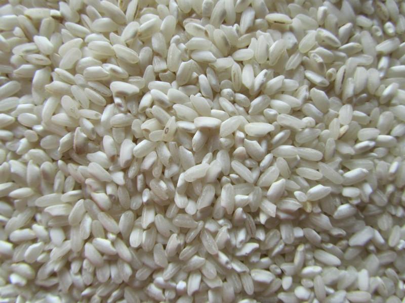 供应贵潮米批发贵潮米做米粉米线河粉专用大米