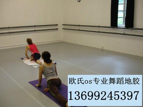 供应专业舞蹈室塑胶地板 舞蹈室专用地胶垫 舞蹈室地板胶