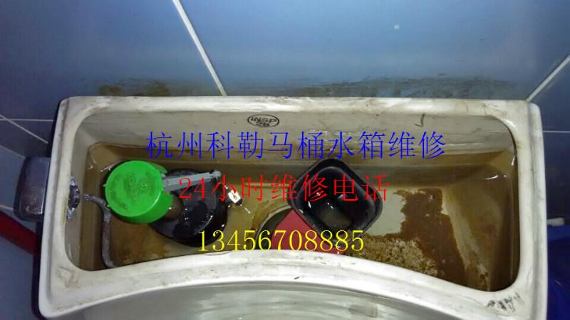 杭州三墩科勒马桶漏水维修马桶安装批发
