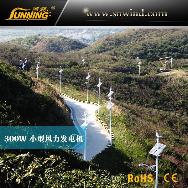 供应水平轴小型风力发电机300W_风力发电系统_24V 300W_永磁电机