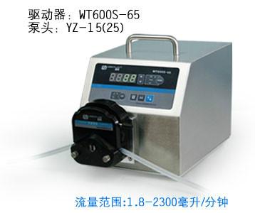 WT600S-65调速型蠕动泵批发