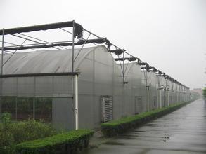 邯郸市温室阳光板智能温室大棚建设厂家