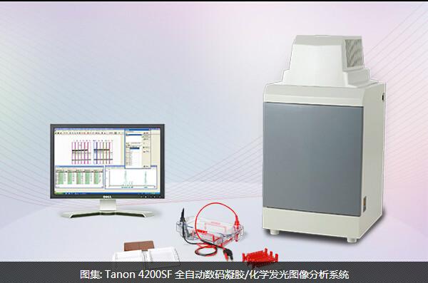 Tanon4200SF全自动数码化学发光批发