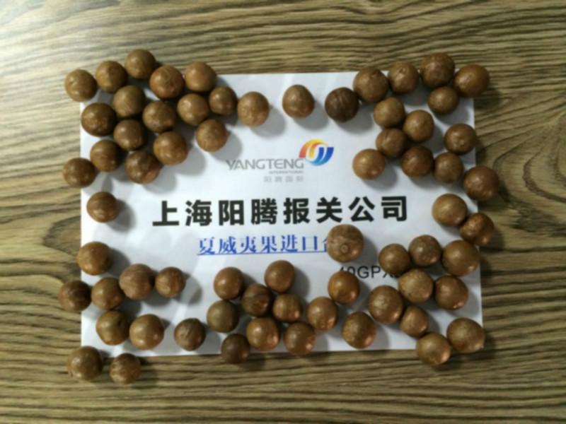 供应上海咖啡进口报关公司