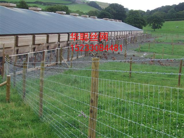 供应各种围栏 养殖牛羊用网 草原围栏