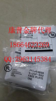 供应康普双口面板报价多少钱，广州康普双口面板报价，深圳康普双口面板报价