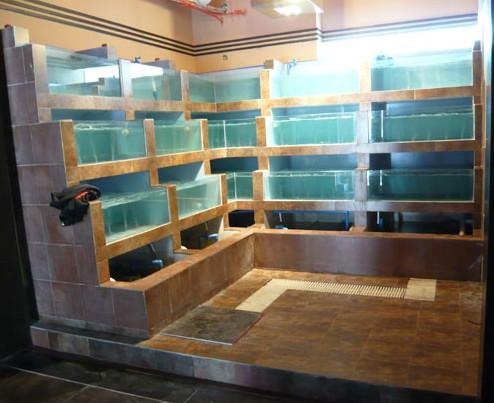 广州市海鲜超市海鲜百货海鲜养殖制冷鱼池厂家