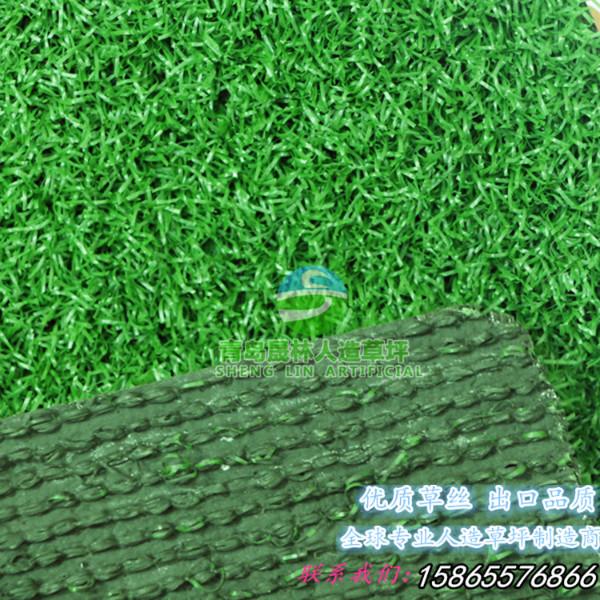 供应用于胶水的屋顶绿化专用草坪楼顶、阳台绿化图片