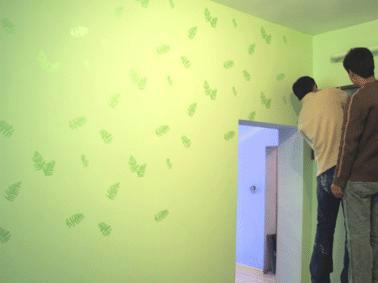 供应全球十大品牌之一宣威绿色健康墙漆，广东厂家直销，抗菌乳胶漆
