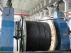供应上海浦东电缆集团超高压电力电缆