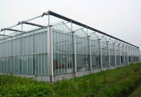 供应许昌玻璃温室哪家好，许昌玻璃温室大棚质量最好，玻璃连栋温室厂家图片