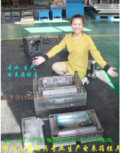 台州市黄岩注射模具18表位电表箱塑料模具厂家供应黄岩注射模具18表位电表箱塑料模具