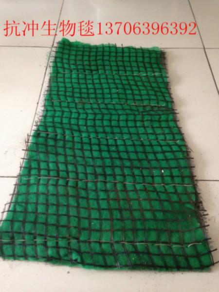 供应城市绿化毯，城市绿化毯规格，城市绿化毯的用途