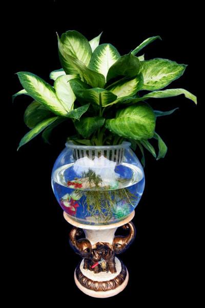 供应圆球玻璃鱼缸厂家  凯奇盆艺电子水培花瓶  水盆花盆 水培花卉