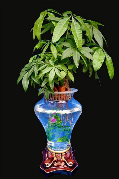 供应电子水培汽雾玻璃瓶 凯奇盆艺专利产品 营养液 水培花卉