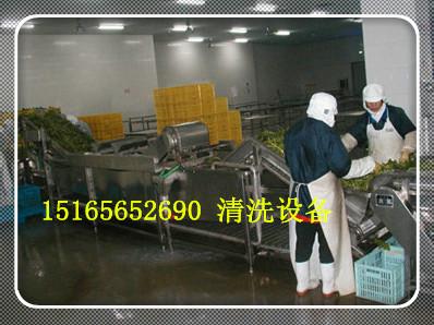 供应蔬菜清洗线蔬菜加工设备151656 52690