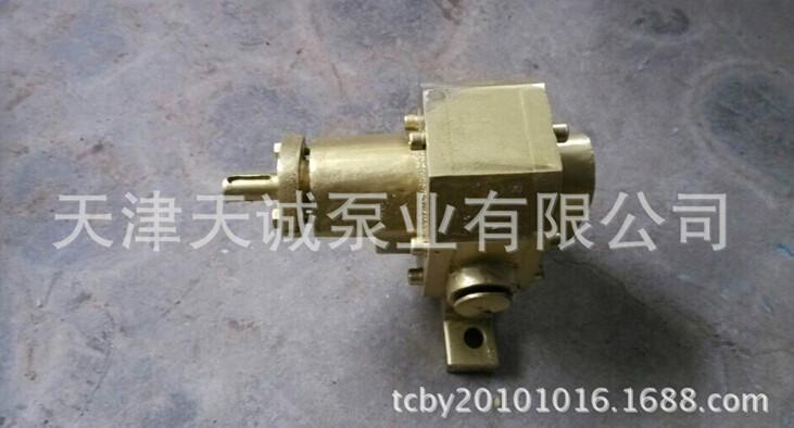 供应天津铸铜打胶齿轮泵TCJ-T/裱糊齿轮泵/不锈钢齿轮泵/印刷机齿轮泵