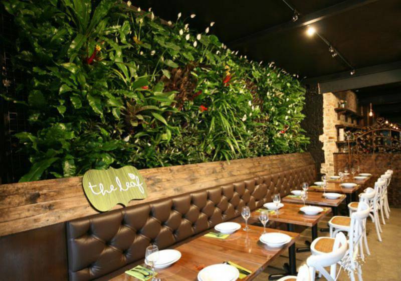 供应餐饮植物屏风植物绿墙植物墙隔断