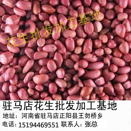 供应用于食品的江苏花生米批发价格