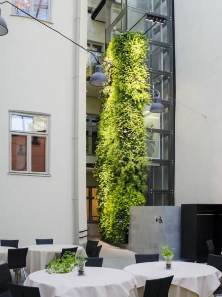 供应空间绿化阳台绿化广西植物墙