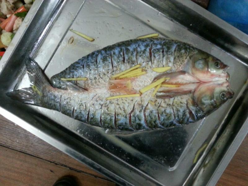 供应福州烤鱼技术培训、哪里有教做正宗重庆烤鱼的地方？