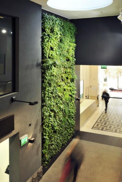 南宁市垂直绿化南宁植物墙绿色空间设计厂家