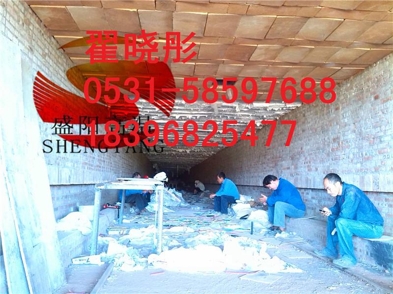 供应陶瓷纤维模块专业隧道窑吊顶保温棉规格300300200/250mm图片