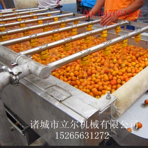 供应橘子清洗机 橘子清洗机生产厂家 橘子清洗机价格