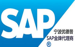 供应宁波SAP公司 ERP系统开发 宁波达策信息技术有限公司