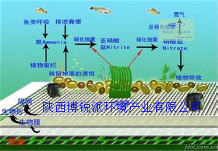 供应西安汉中安康商洛水生态净化系统
