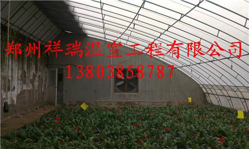 郑州制造各种温室大棚建造日光温室价格