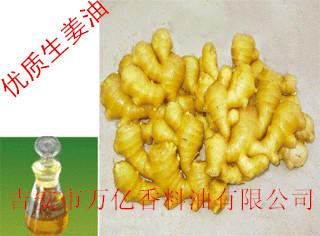 广州优质专业生产生姜油批发
