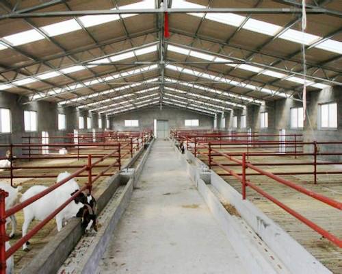 专为兴安盟呼伦贝尔养牛业设计建造标准化新型保温牛舍