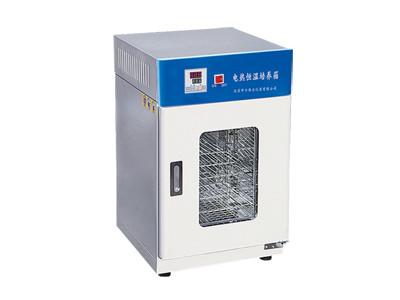 供应硅橡胶磁性胶条密封DHP-250电热恒温培养箱图片
