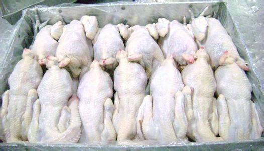 热销产品冷冻食品白条鸡质量保证批发