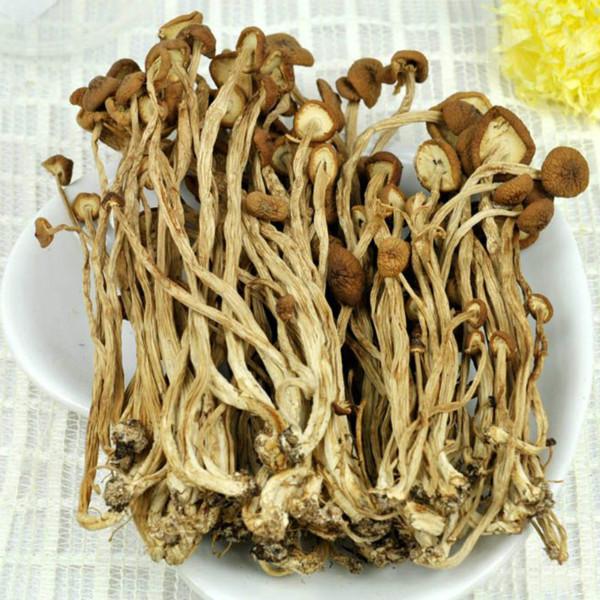 江西土特产茶树菇供应江西土特产茶树菇