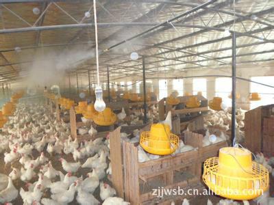 大型养鸡场消毒降温设备 养鸡场消毒设备价格 设备