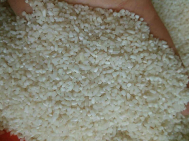 进口碎米批发商价格/加工厂加工批发