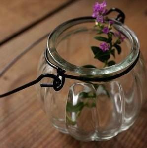 供应玻璃花瓶南瓜吊篮玻璃瓶水培花瓶应