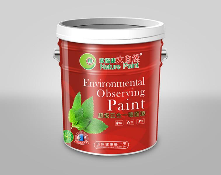 供应大自然豪华五合一墙面漆环保高效水漆