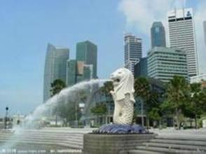 供应可靠的新加坡专线