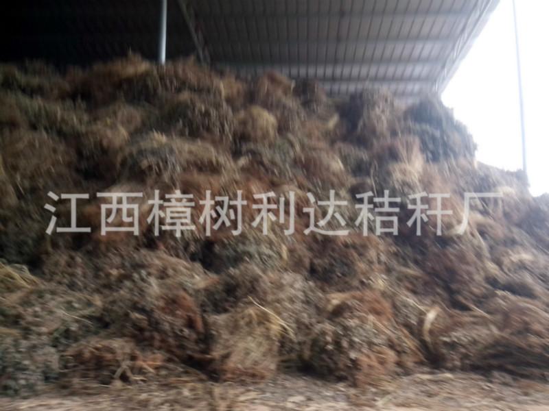 供应干稻草厂家现货供应优质干稻草，适用于养殖蘑菇、道路养护、种子种植