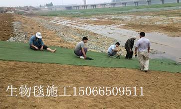 供应武汉生态绿化毯，武汉生态绿化毯规格，武汉生态绿化毯特性