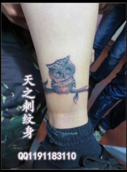 供应小腿纹身，猫头鹰纹身，狼头纹身，女生纹身，青岛纹身