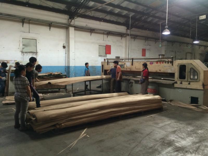 供应用于木皮生产的天然木皮 木皮封边条 白橡木皮