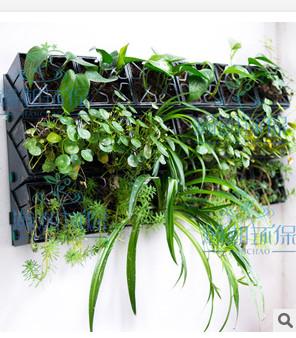 广州市立体绿化墙垂直墙面种植装饰绿色植厂家供应立体绿化墙垂直墙面种植装饰绿色植